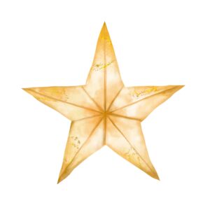 Christmas Star
